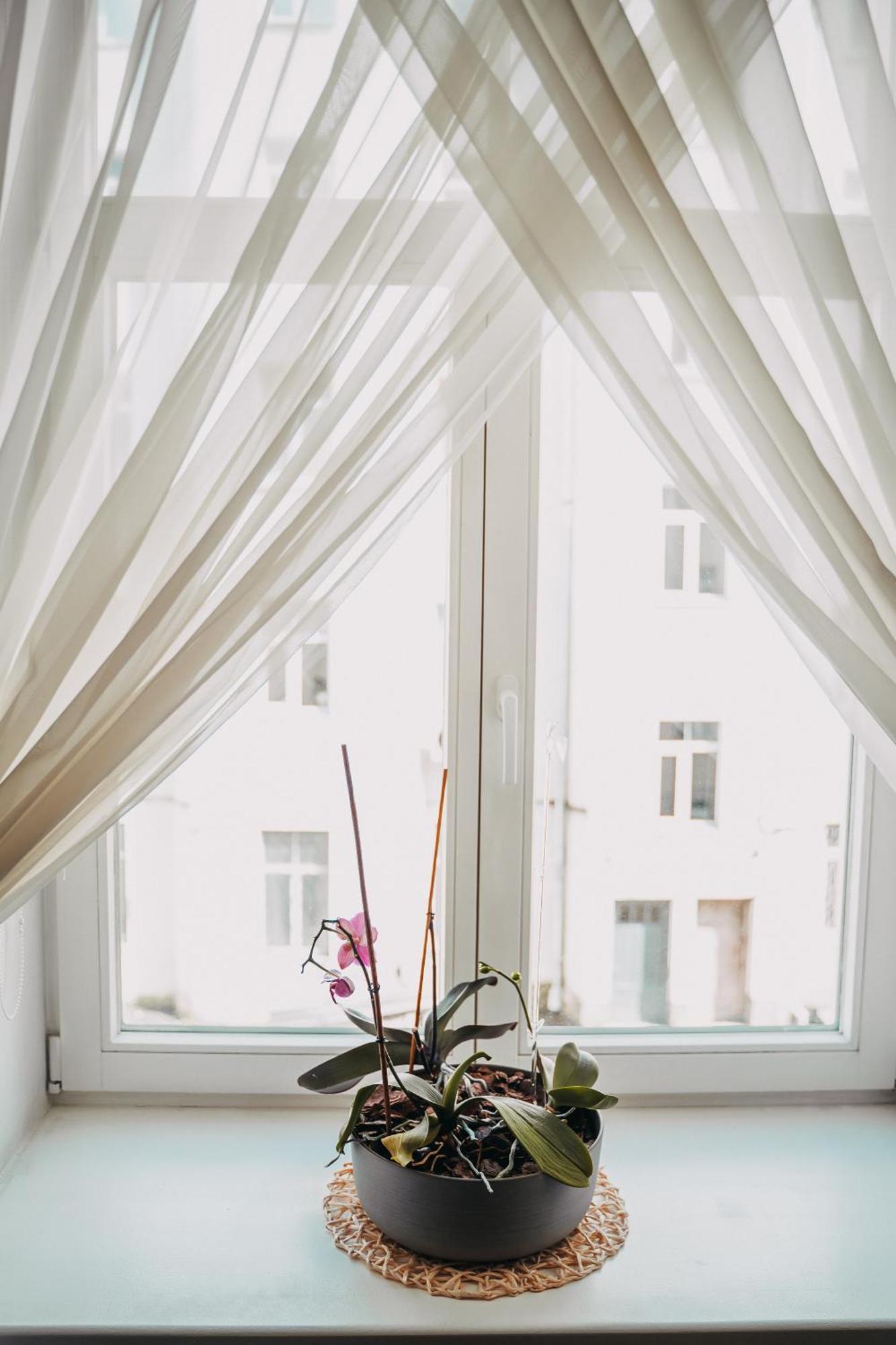 Family Apartment In Riga Center And Free Parking Zewnętrze zdjęcie